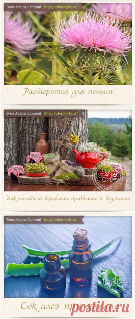 Лекарственные растения