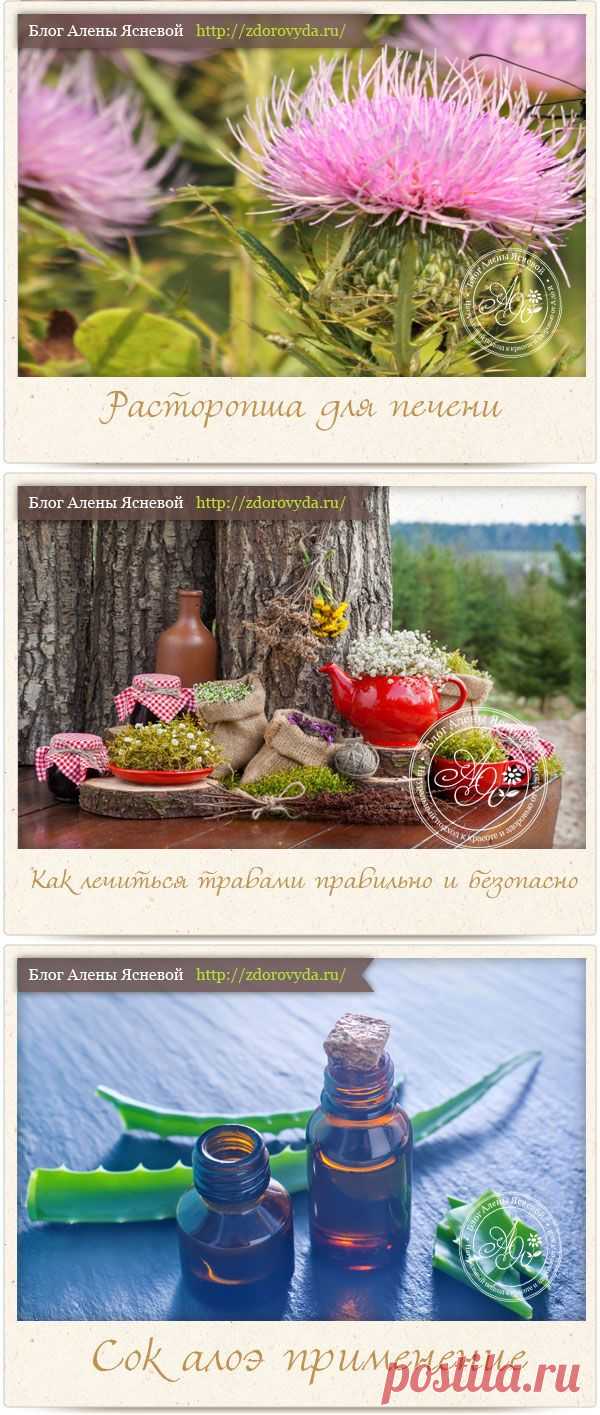 Лекарственные растения