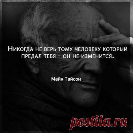 Волки