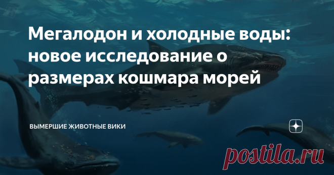 Мегалодон и холодные воды: новое исследование о размерах кошмара морей Otodus megalodon или просто мегалодон, самая крупная акула, когда-либо жившая на Земле, наверняка достигала не менее 15 м (50 футов) в общей длине, судя по ее гигантским зубам. Новое исследование показывает, что особи Otodus megalodon были в среднем крупнее в более холодной воде, чем в более теплой. Эти акулы жили со среднего миоцена до плиоцена, примерно от 15 до 2,6 миллионов лет назад. Этот доисторич...