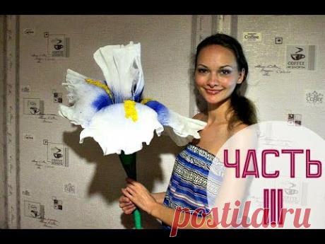 ГИГАНТСКИЕ РОСТОВЫЕ ЦВЕТЫ. Ирисы (часть 3)