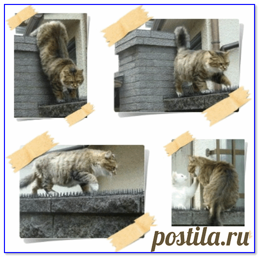 Как сделать фотоколлаж на телефоне