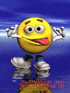 Animated wallpaper, screensaver 240x320 for cellphone