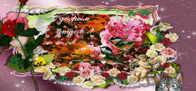 Дорогие мои друзья с добрым утром и чудесным днем     посмотреть в полном размере можно перейдя по ссылке