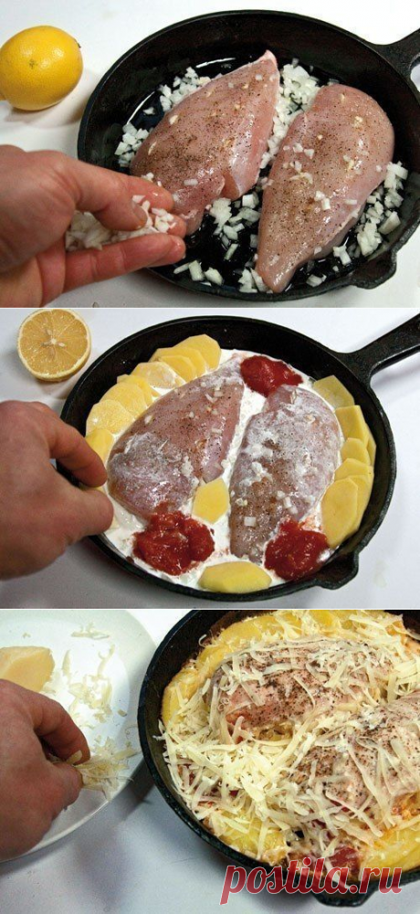 Куриные грудки, запеченные в сливках под сыром