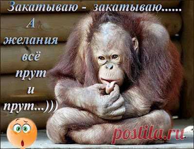godaltar.orgcompronet: Махабхарата [СКАЗАНИЕ О СЫНЕ РЕКИ