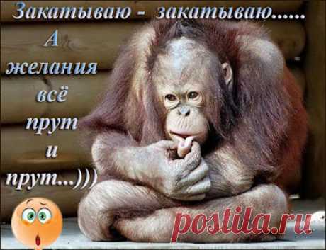godaltar.orgcompronet: Махабхарата [СКАЗАНИЕ О СЫНЕ РЕКИ