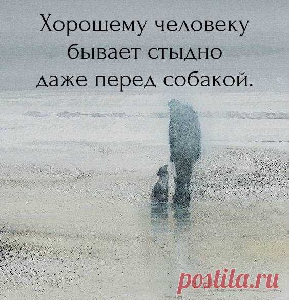 Великие стихи Великих поэтов
