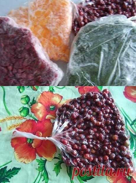 Отличный способ замораживания на зиму ягод, фруктов и овощей.