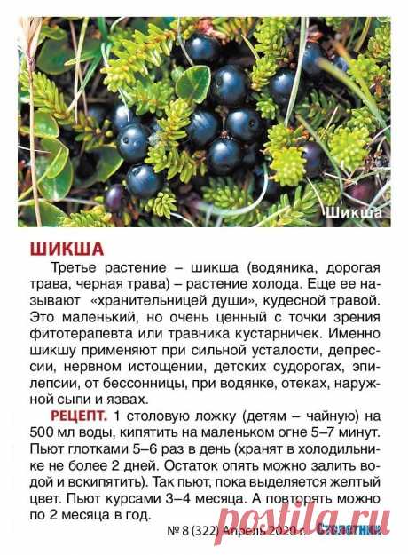 Шикша