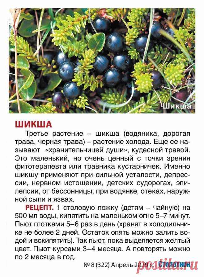 Шикша