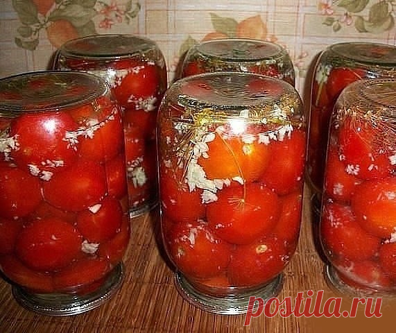 ПОМИДОРЫ В СНЕГУ | OK.RU