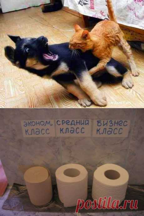 Анекдоты без комплексов .
