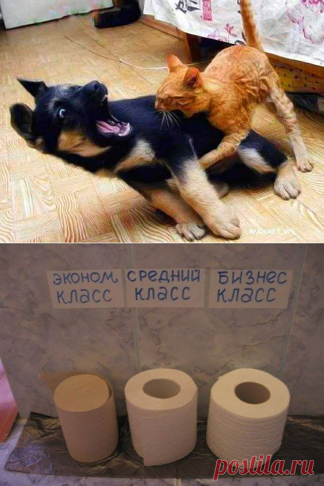 Анекдоты без комплексов .