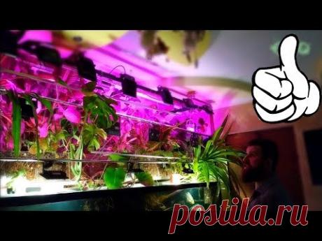 ПРОДВИНУТЫЙ АКВАРИУМ! ФИТОФИЛЬТР С КЛИМАТ КОНТРОЛЕМ! 2 ЧАСТЬ - YouTube