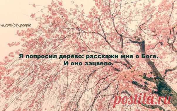Фотографии на стене сообщества | 32 827 фотографий