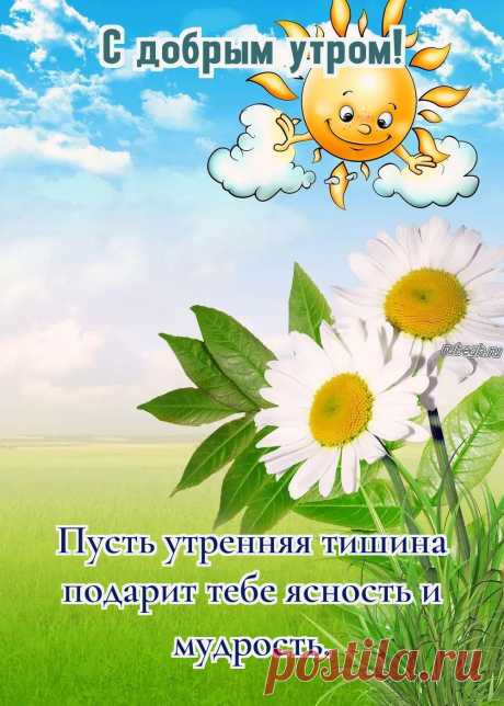 «Доброе утро свекровь!»
