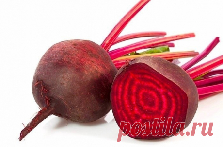 ЛЕЧЕНИЕ ЖИРОВИКА СВЕКЛОЙ