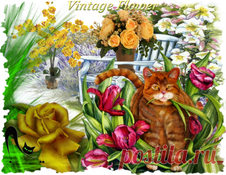 Flower Arrangement