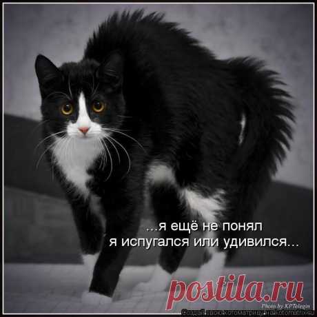 улыбнитесь!