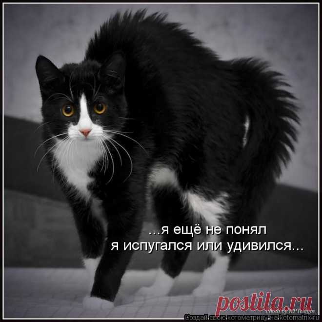 улыбнитесь!