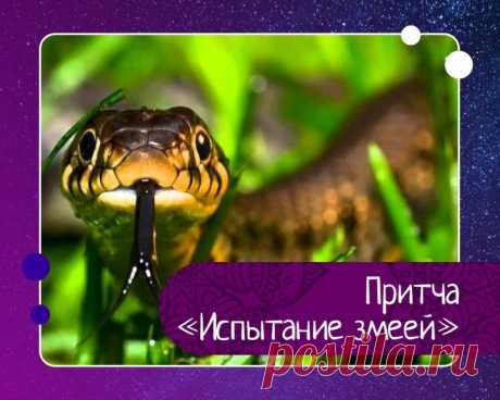 Притча испытание змеей