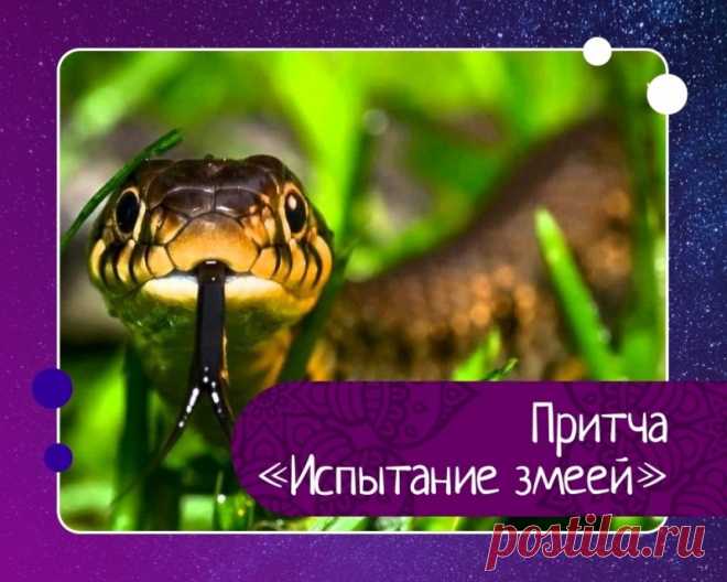 Притча испытание змеей