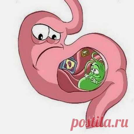 Сок при гастрите | Друг пенсионера
Заработать хронический гастрит, как, наверно, общеизвестно, несложно. На протяжении не­скольких лет я была вынуждена питаться всухомятку и нерегулярно