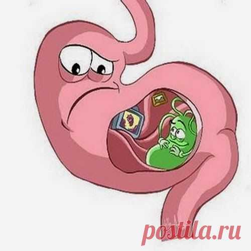 Сок при гастрите | Друг пенсионера
Заработать хронический гастрит, как, наверно, общеизвестно, несложно. На протяжении не­скольких лет я была вынуждена питаться всухомятку и нерегулярно