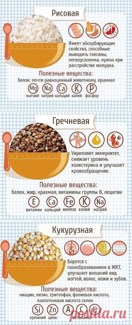 Вы едите каши? А знаете ли Вы почему они полезны и как их употребление может повлиять на организм?