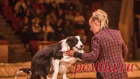 В Росгосцирке назвали причину увольнения 15 собак из московского цирка. Дрессировщица московского цирка "Радуга" заявила, что учреждение убирает из репертуара ее номер и собирается сократить 15 дрессированных собак. В Росгосцирке "Газете.Ru" заявили, что выступление было решено ...