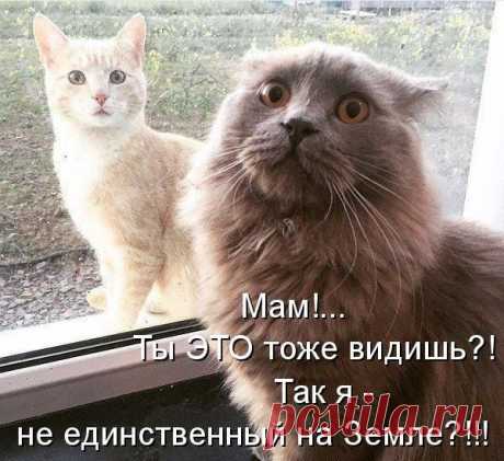 Интересные новости