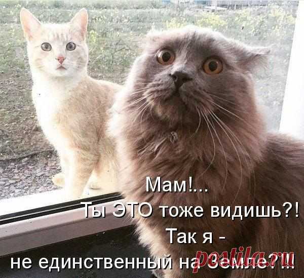 Интересные новости