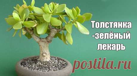 (47) Одноклассники