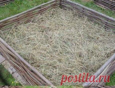 Делаем поднятую грядку