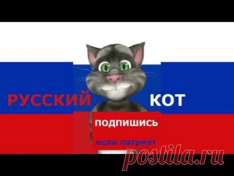 Русский Кот - Топ 5 месяца 1