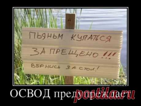 Новые демотиваторы-приколы