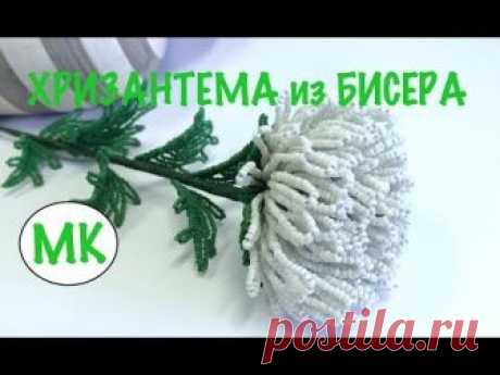 МК: ХРИЗАНТЕМА ИЗ БИСЕРА. #бисероплетение #цветыизбисера. ПОДРОБНЫЙ МК