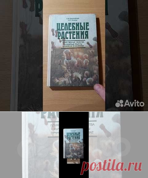 Николайчук Л. В., Жигар М. П. Целебные растения. Лекарственные... купить в Москве | Авито
