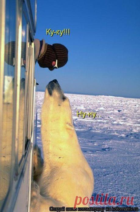 СМЕШНЫЕ МИЛЫЕ .(Подборка с нета) - 50 фото. Фотографии *** Вика ***.