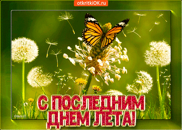 Варианты дизайна открытки «Прощай, лето!»

    Романтический закат

    Изображение: живописный закат на море с отблесками солнца на воде

    Текст: «Спасибо лету за тёплые дни и яркие воспоминания»
