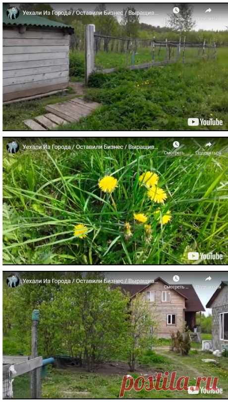 Уехали из города / оставили бизнес / выращиваем коз &amp;#8212; Усадьба Белая Коза
