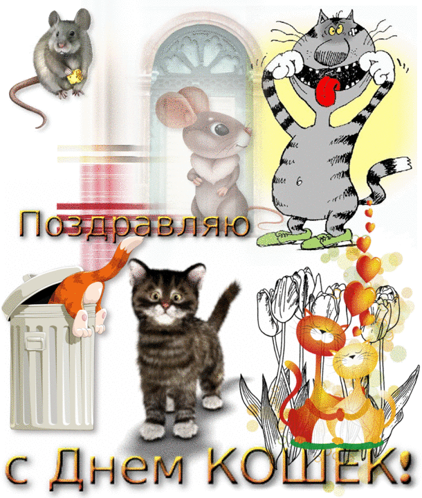 День кошки: 10 тыс изображений найдено в Яндекс.Картинках