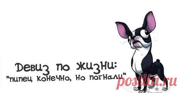 Ленуся Шашина