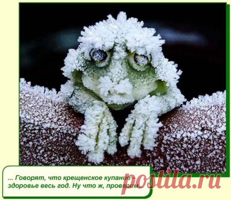 ХОРОШЕГО ВАМ НАСТРОЕНИЯ