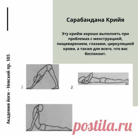 В промежутках между венами и артериями каждые несколько сантиметров располагаются крошечные клапаны. Таким образом кровь циркулирует по системе. Эти клапаны отвечают за обновление клеток тела. В этом упражнение позвоночник работает от позвонка к позвонку без остановки, заставляя клапаны работать. Когда эти клапаны не работают, область, в которую не поступает кровь, становится слабой.
Показать полностью…