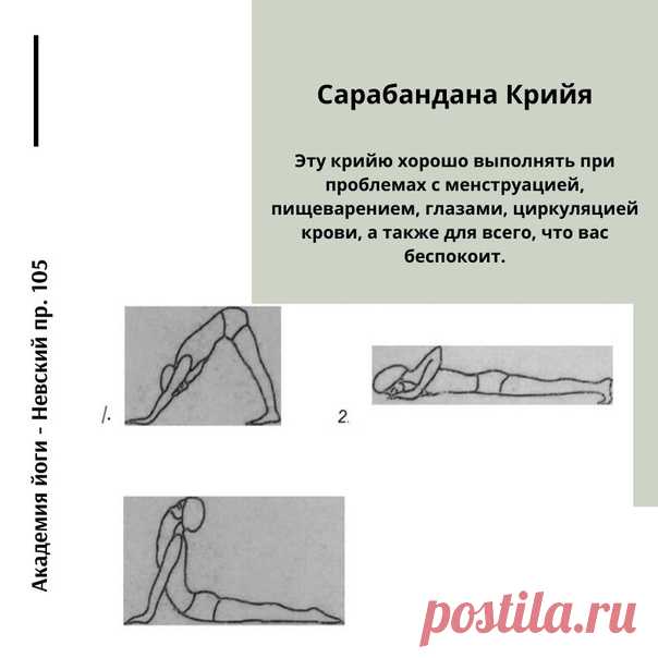 В промежутках между венами и артериями каждые несколько сантиметров располагаются крошечные клапаны. Таким образом кровь циркулирует по системе. Эти клапаны отвечают за обновление клеток тела. В этом упражнение позвоночник работает от позвонка к позвонку без остановки, заставляя клапаны работать. Когда эти клапаны не работают, область, в которую не поступает кровь, становится слабой.
Показать полностью…