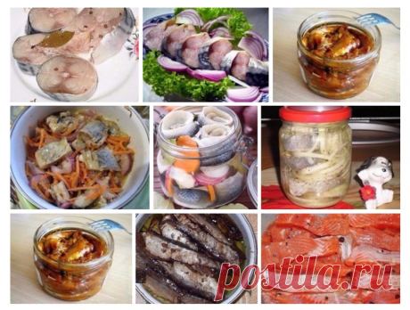Солёная, маринованная, копчёная рыбка легко! Самые вкусные рецепты! Самые вкусные рецепты – Самые лучшие и интересные фото по теме: Солёная, еда, копчёная рыбка на развлекательном портале Fishki.net