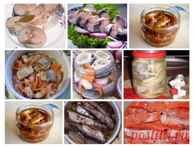 Солёная, маринованная, копчёная рыбка легко! Самые вкусные рецепты! Самые вкусные рецепты – Самые лучшие и интересные фото по теме: Солёная, еда, копчёная рыбка на развлекательном портале Fishki.net