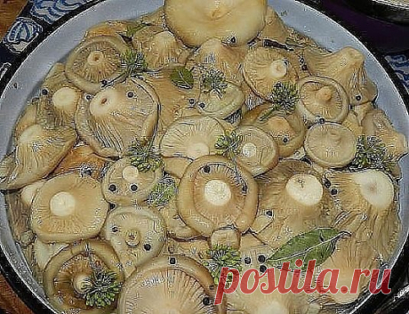 (13) Одноклассники